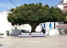 La Palma CC